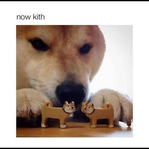 Meet your Posher, Kelly